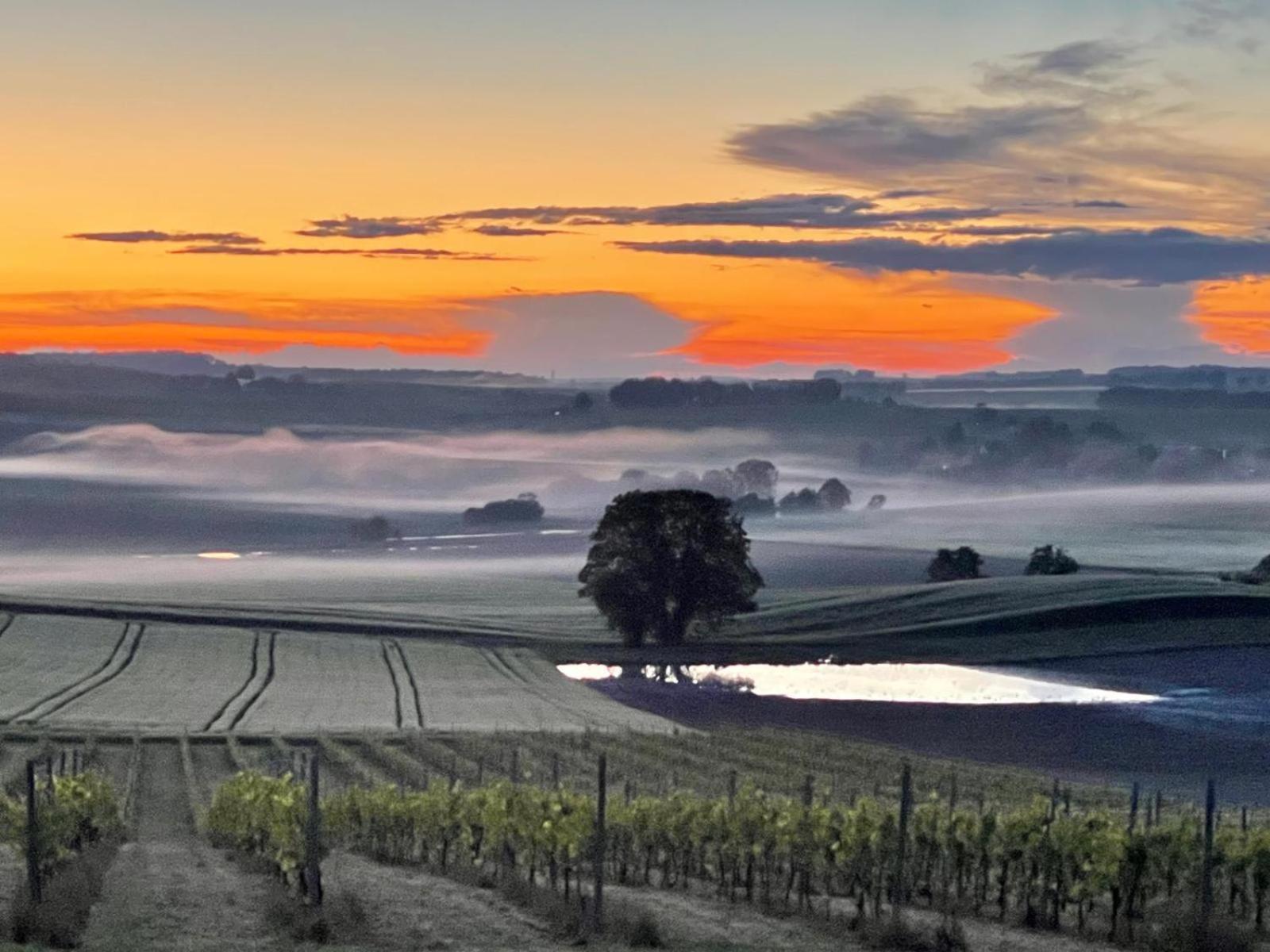 Paradis Des Vignes Birac  Rum bild