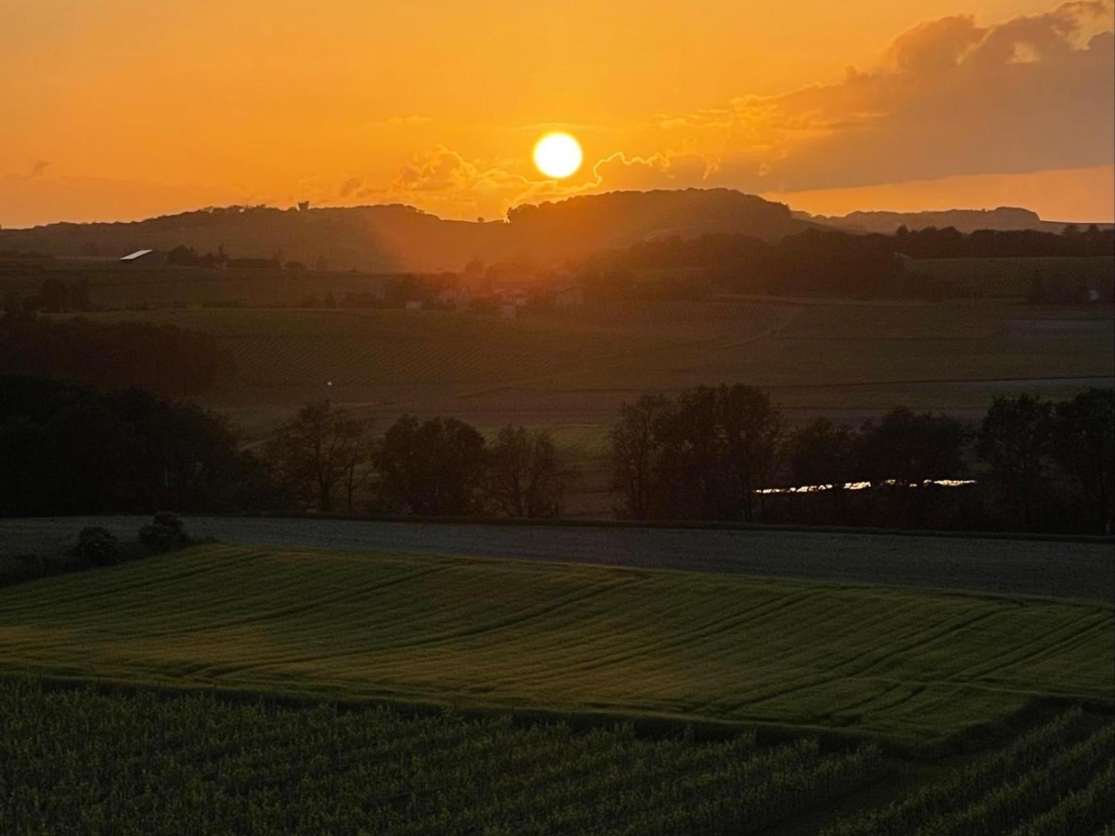 Paradis Des Vignes Birac  Rum bild