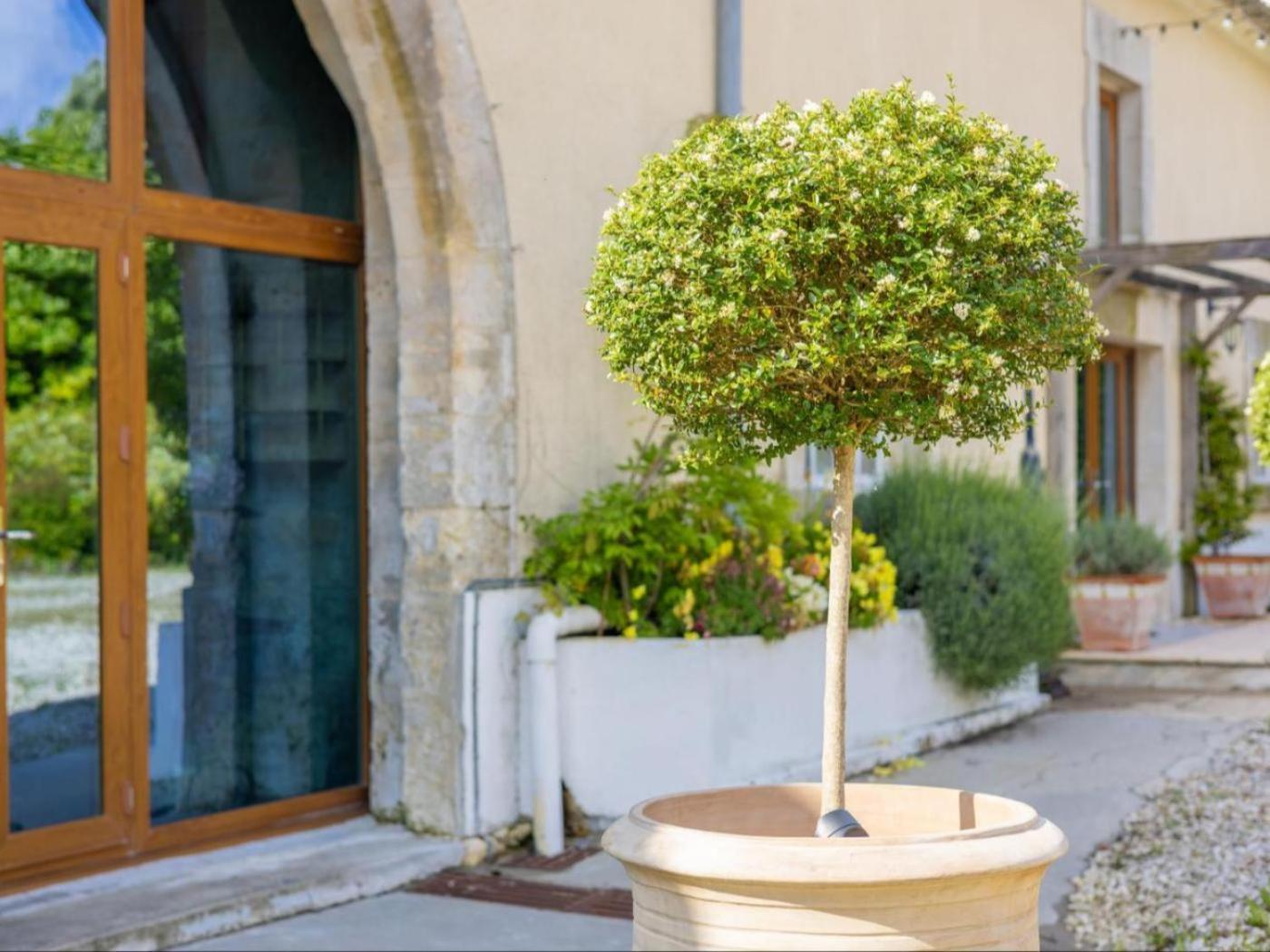 Paradis Des Vignes Birac  Rum bild