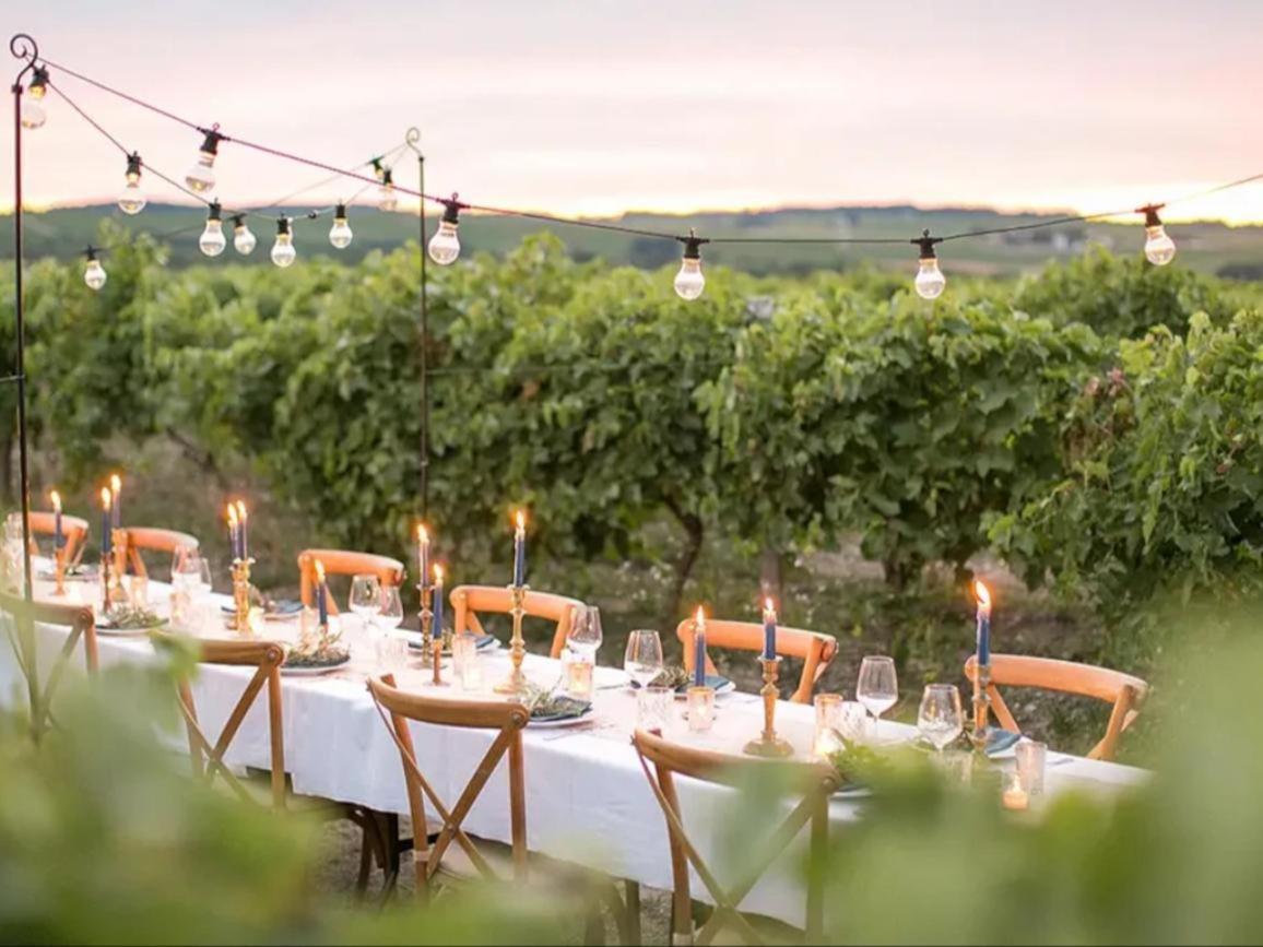 Paradis Des Vignes Birac  Exteriör bild