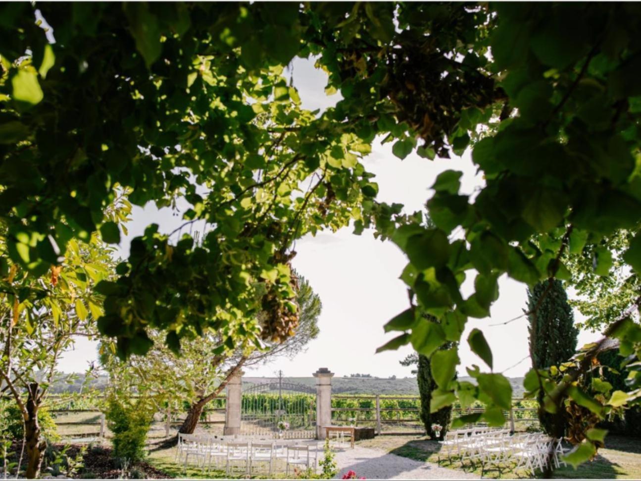 Paradis Des Vignes Birac  Exteriör bild